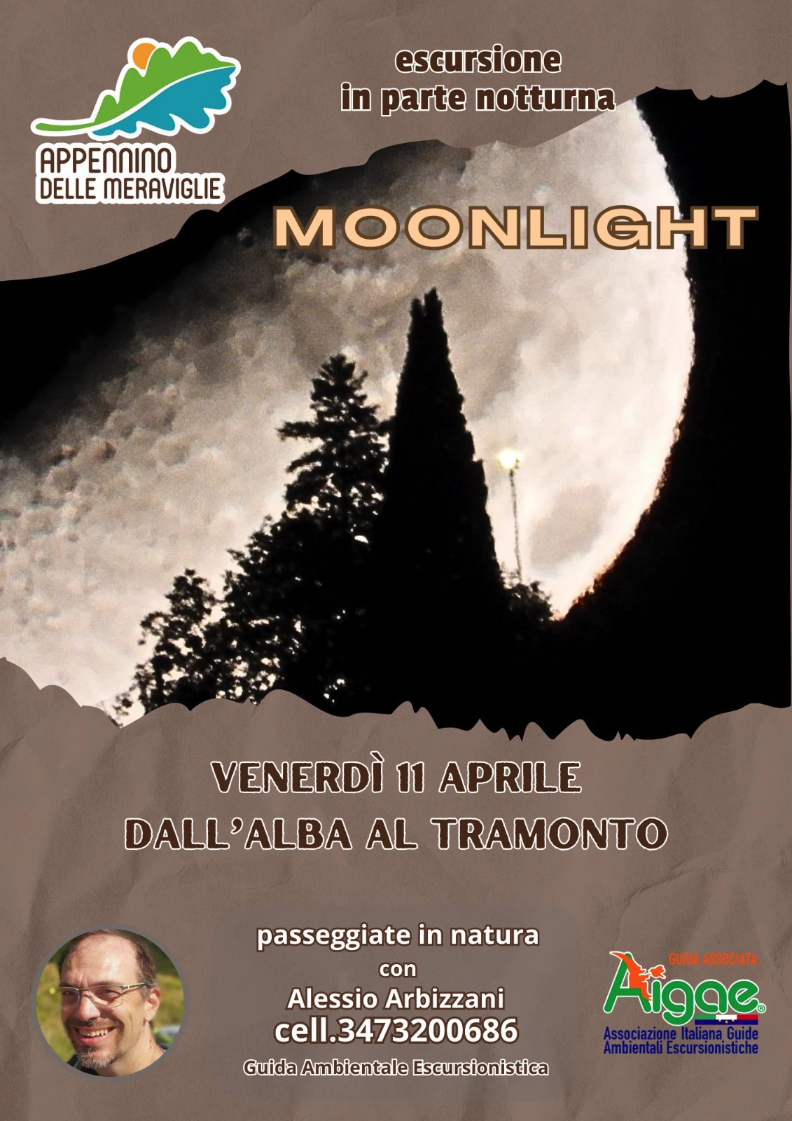 MOONLIGHT1