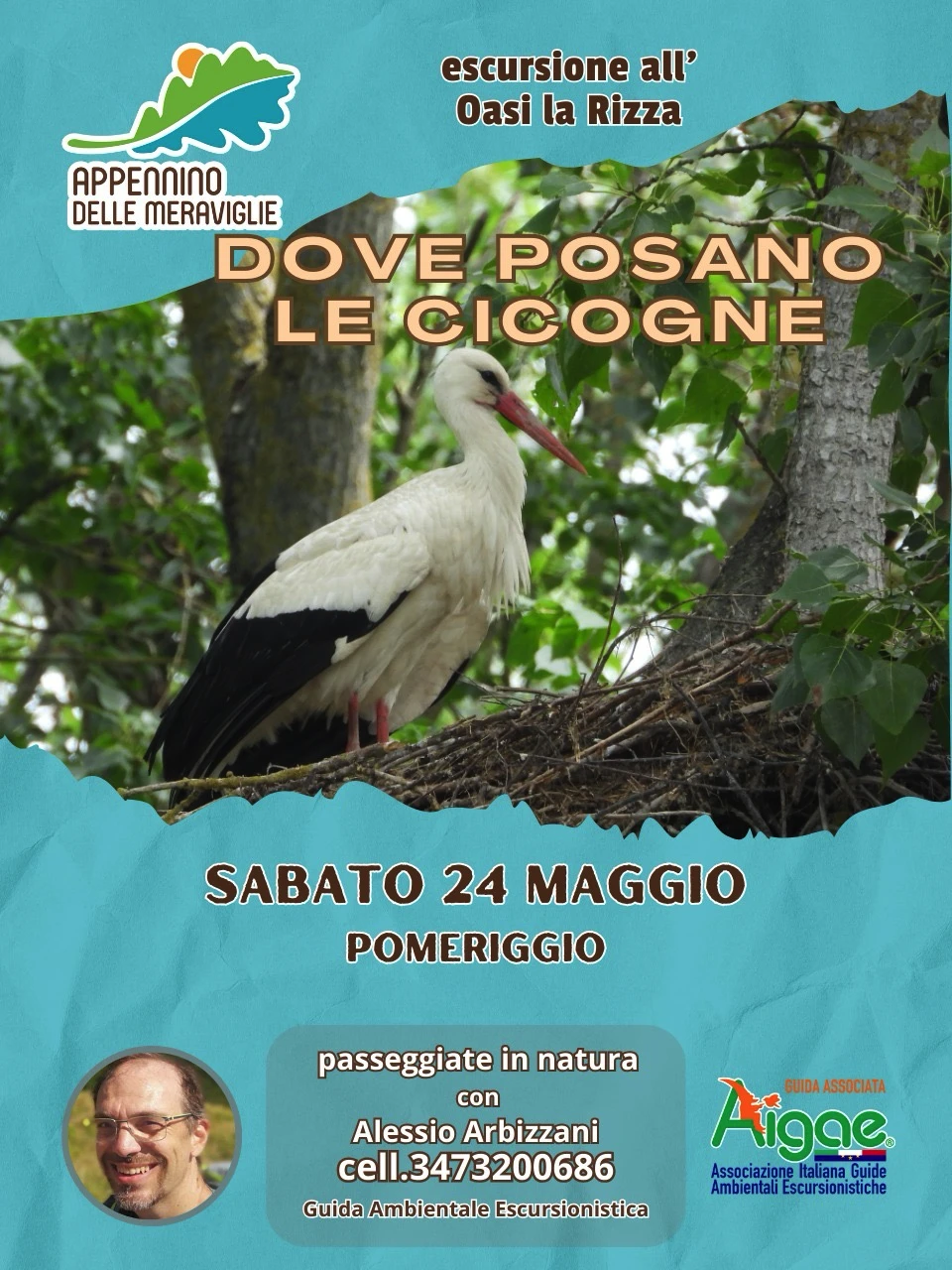 DOVE POSANO LE CICOGNE
