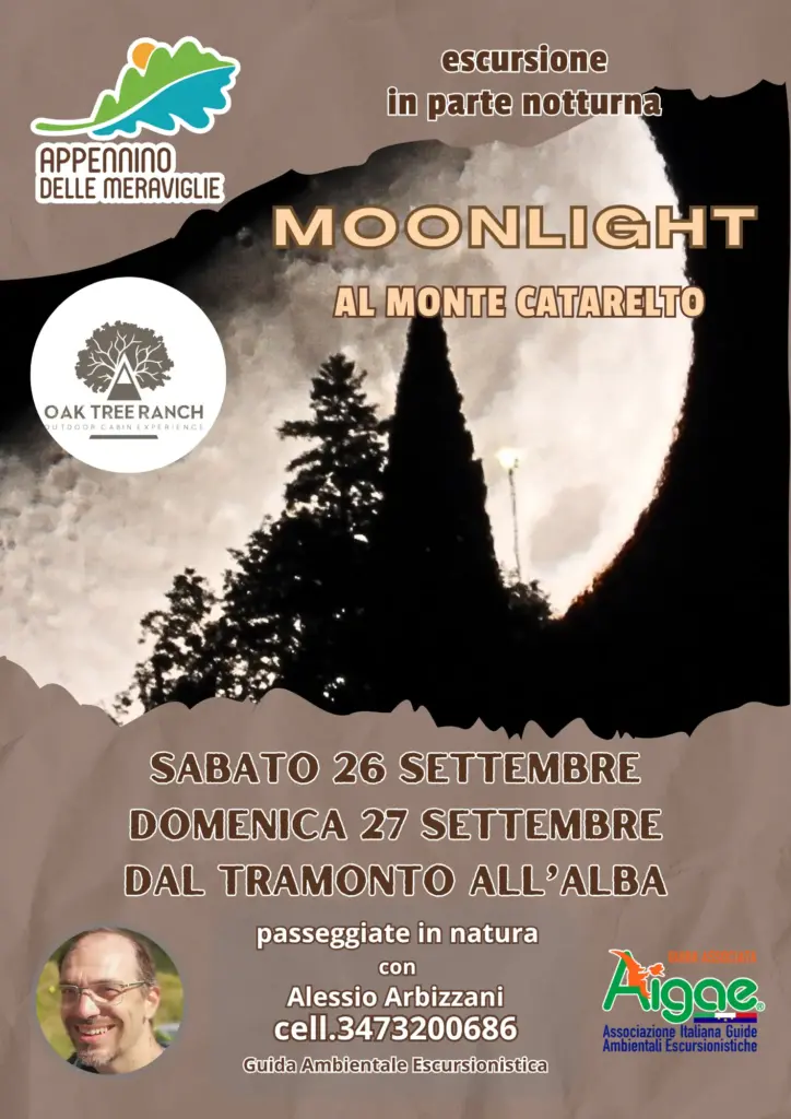 MOONLIGHT CATARELTO