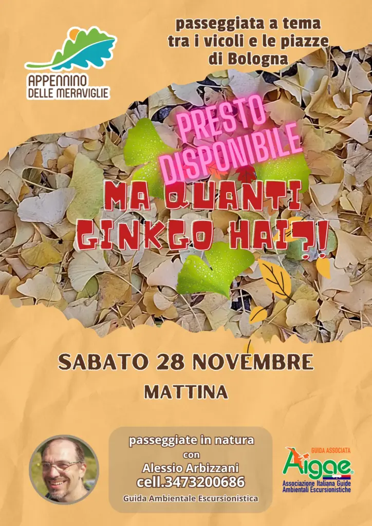 2 risultato 1