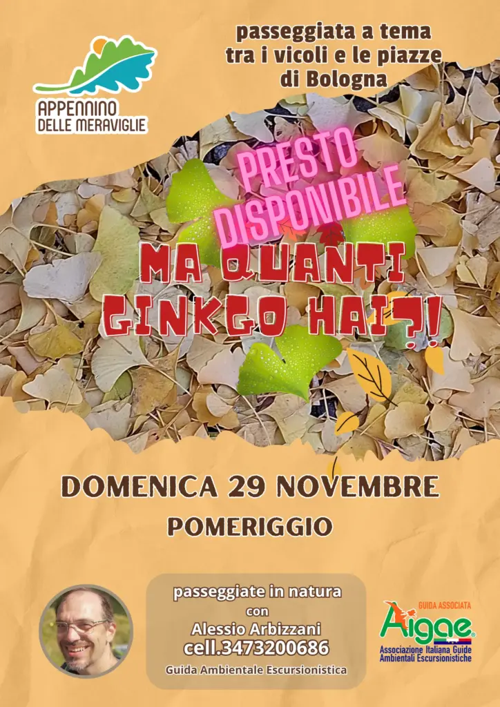 3 risultato 1
