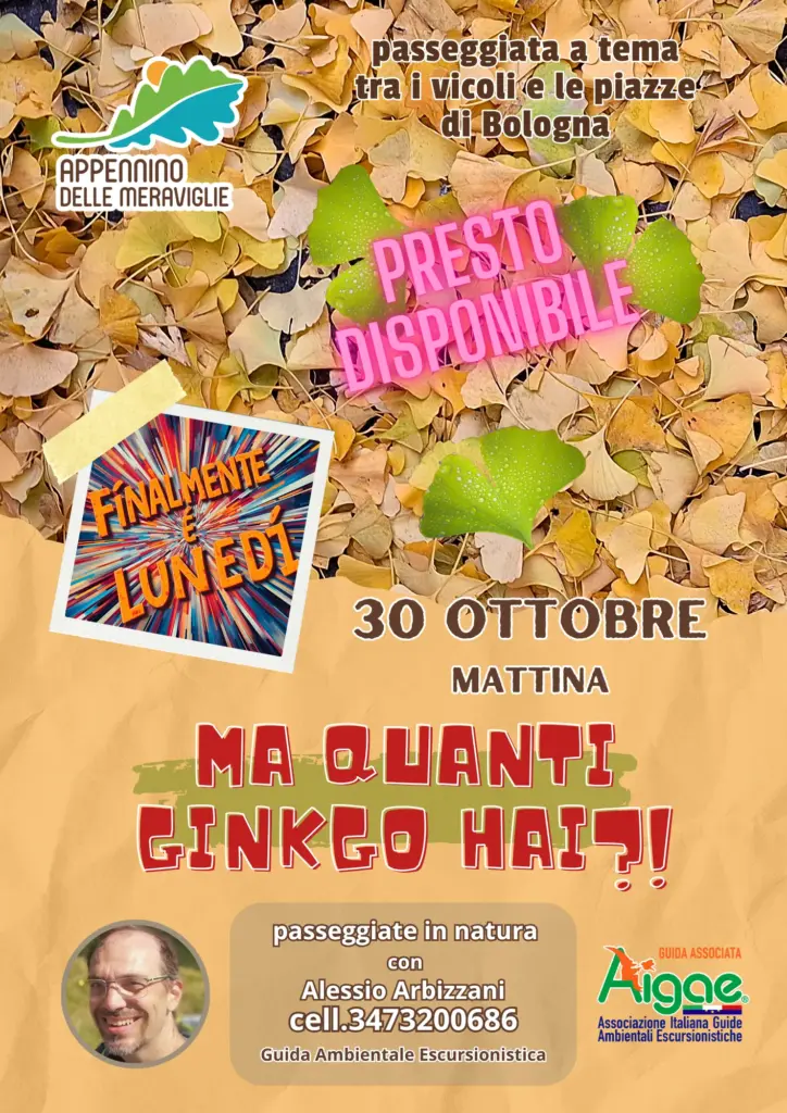 4 risultato 1
