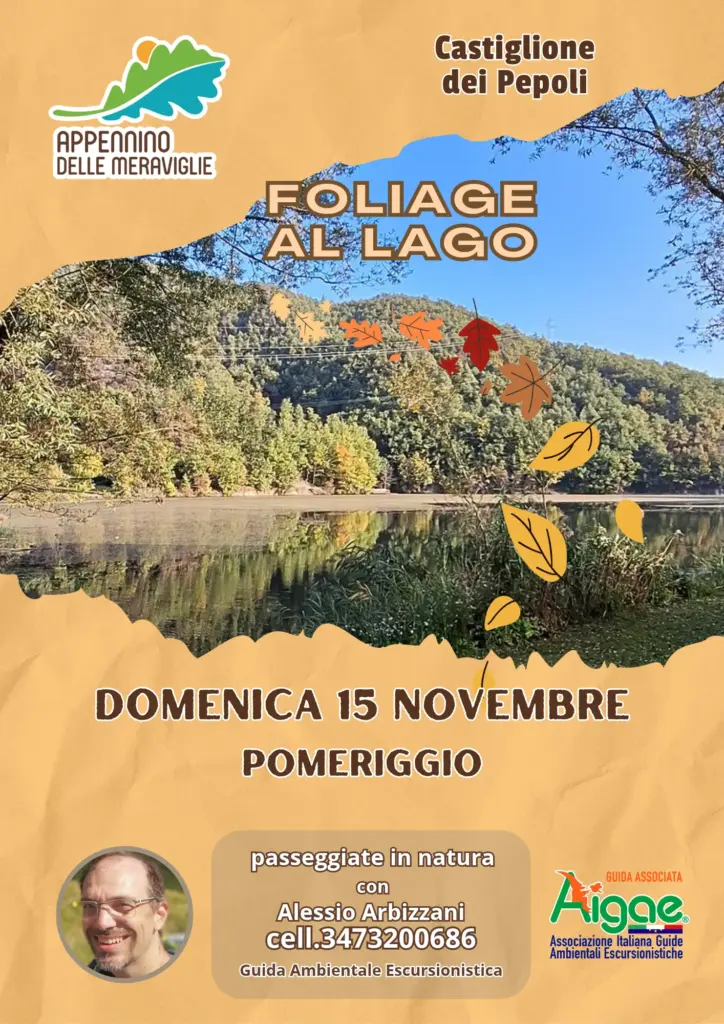 FOLIAGE LAGO SANTA MARIA domenica