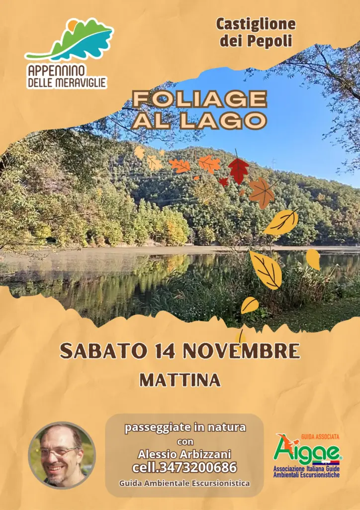 FOLIAGE LAGO SANTA MARIA sabato