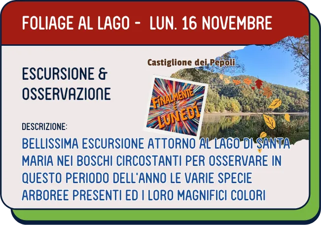 fol lun