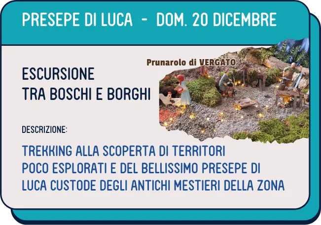 luca dom